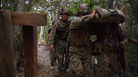 Us-Army,-Marines-And-Japanese-Ground-Self-Defense-Soldiers-Basic-Jungle-Survival-Course-Training,-Okinawa,-Japan