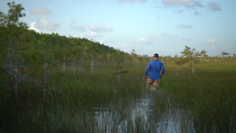Un-Hombre-Camina-A-Través-De-Un-Pantano-En-Los-Everglades-De-Florida