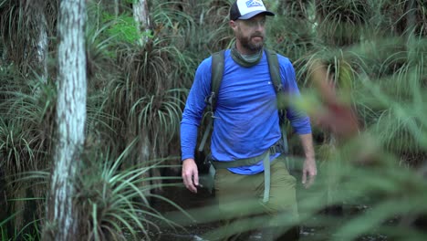 A-Man-Passes-By-Swamp-Trees-As-He-Treks-Through-The-Florida-Everglades