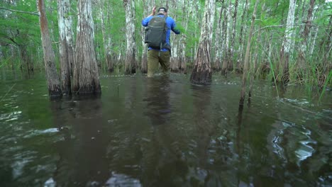 A-Man-Passes-By-Swamp-Trees-As-He-Treks-Forward-Through-The-Florida-Everglades