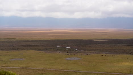 Ngorongoro-crater-preserve-mud-plains-with-wildebeest-grazing-on-grasses,-Tanzania-Africa,-Aerial-hovering-shot