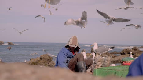 Fisherman-sorts-fishes-on-sea-wall,-surrounded-by-dozens-of-hungry-seagulls