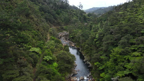 Schwenken-Sie-Die-Drohnenpfanne-Auf-Den-Fluss-In-Der-Schlucht-Von-Neuseeland-Mit-Buschlandbäumen