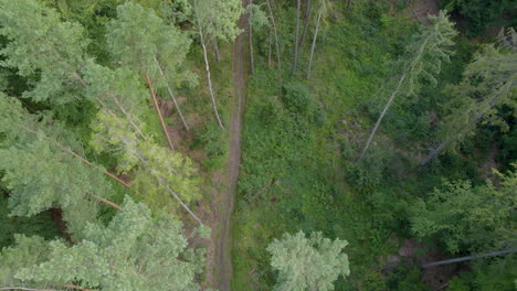 Empty-hiking-trail-in-the-Sweden-forest,-aerial-downwards-view