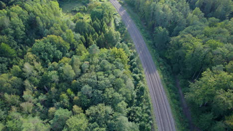 Empty-train-tracks-in-green-forest,-aerial-downwards-view