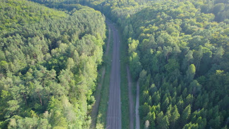 Empty-Asphalt-Road-Though-Deciduous-Forest-in-Witomino,-Poland-on-Summer-Day