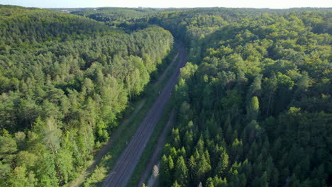 Two-lane-railroad-between-trees-in-Scandinavia,-aerial-drone-view