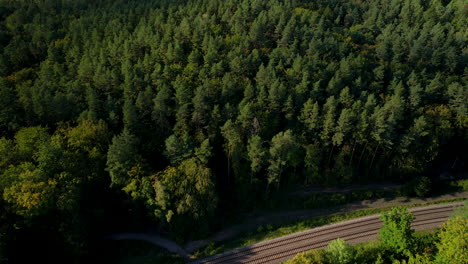 Aerial-view-on-railway-tracks-in-forest,-Sweden
