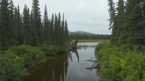Ein-Ruhiger-Fluss,-Der-Durch-Einen-Großen-Wald-In-Neufundland-Und-Labrador-Fließt