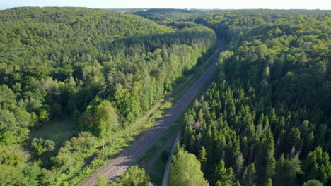Aerial-view-of-beautiful-forest-trees-on-hill-and-road-between-woodland-in-sunlight