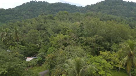 Aerial-shot-of-houses-inside-a-thick-jungle-with-mountain-at-the-background