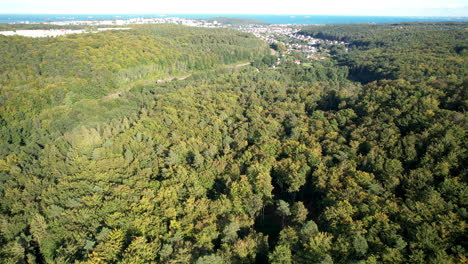 Witmomino-area-in-distant-aerial-view-behind-trees,-Gdynia,-Poland