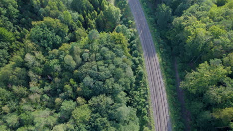 Luftaufnahme-Von-Schienen-Zwischen-Waldbäumen-In-Der-Wildnis-Bei-Sonnenlicht