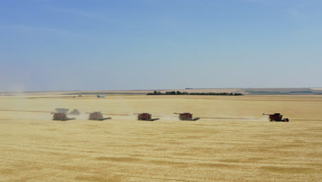 Aerial-tracking-shot-following-combines-harvesting-grain,-Saskatchewan,-Canada