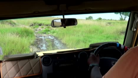 POV-shot-as-approaching-a-river-crossing-with-a-jeep,-bumpy-safari-road-from-the-backseat