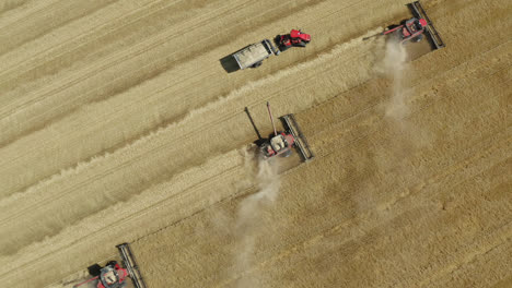 Dust-rises-from-combines-harvesting-grain,-Saskatchewan,-Canada