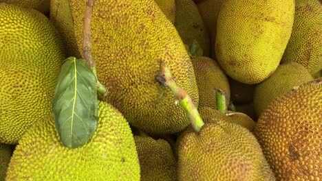 Several-Jackfruits-in-one-place