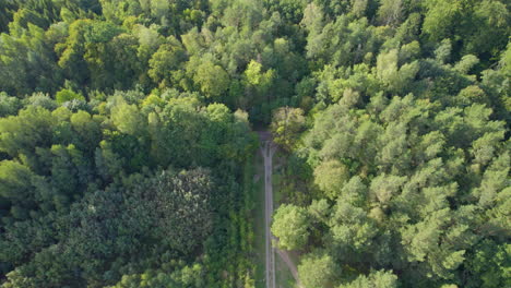 Witomino-deciduous-forest-with-footpaths-and-freeway-in-early-autumn---aerial-tilt-up,-Gdynia,-Poland