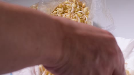 Sprossen-Von-Keimenden-Samen-Werden-Zum-Späteren-Kochen-Verpackt,-Nahaufnahme