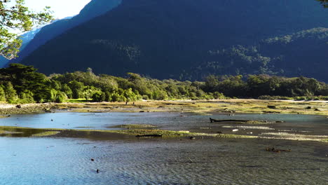 Peaceful-landscape-on-breezy-day-on-riverbed-in-Milford-Sound