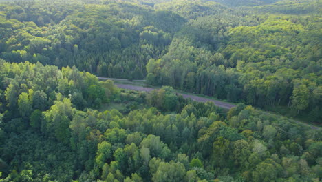 Aerial-Drone-View-Of-Tropical-Forest-Road-In-Summertime