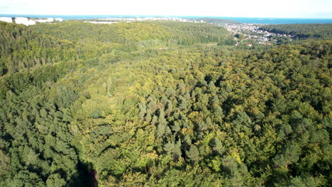 Grüne-Kiefernwälder-Luftaufnahme-In-Der-Nähe-Von-Gdynia-Witomino,-Polen