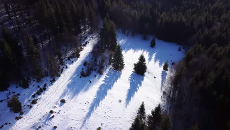 Winter-In-Den-Bergen-Von-Piatra-Craiului-In-Rumänien