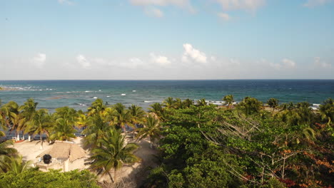 Mexico-ocean-and-palmtree-beach-drone-shot