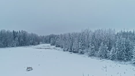 Slow-rolling-drone-shot-of-a-forest-in-winter