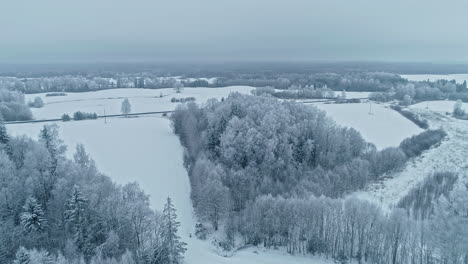 Aerial-view-of-landscape-in-winter
