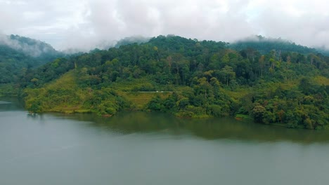 Lush-Green-Forest-With-Calm-Waters-In-The-Foreground-In-Summer-In-Semenyih,-Malaysia