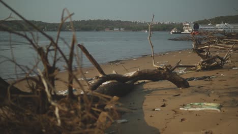 An-establishing-shot-of-the-natural-debris-and-decaying-trees-washed-up-onto-the-bank-of-the-Mandovi-River,-the-beautiful-environment-covered-in-litter-and-garbage,-Goa,-India