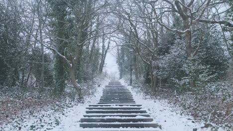 Steps-Going-Up,-on-Snowy-Winter-Weather,-Trees-forming-a-Tunnel-over-Path,-Symmetry