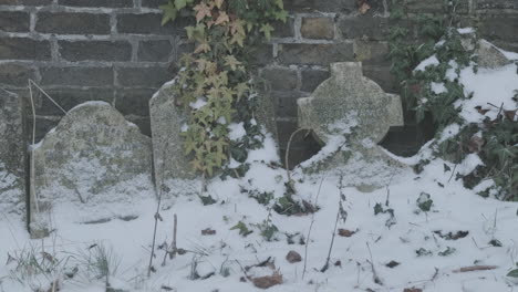 Snow-Covered-Headstones-in-Graveyard,-Overgrown-with-Ivy-Against-Red-Brick-Wall