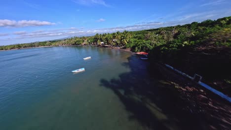 üppiges-Laub-An-Der-Karibischen-Meeresküste-Am-Strand-Von-Playa-Palenque-In-San-Cristobal,-Dominikanische-Republik