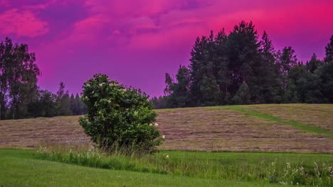Timelapse-of-a-Purple-sky-during-sunrise-and-fields-scenery