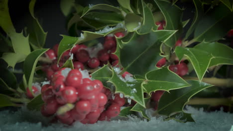 Sprigs-of-Holly-with-Red-Berries,-Rotating-Traditional-Festive-Scene-with-Snow-Falling