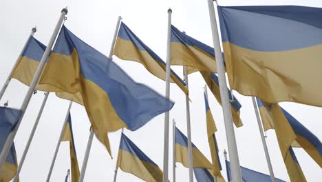 Banderas-Ucranianas-Ondeando-A-Cámara-Lenta-En-Un-Día-Nublado