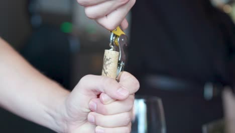 Pulling-a-cork-from-wine-bottle