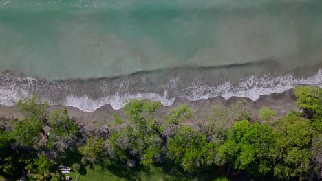 Luftaufnahme-Von-Oben-Nach-Unten-Von-Playa-Palenque-In-San-Cristobal-Mit-Türkisfarbenem-Karibischem-Meer-Und-Bäumen-Am-Strand