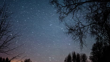 Sich-Schnell-Bewegende-Sterne-Und-Meteore-Am-Nachthimmel-Hinter-Blattloser-Baumsilhouette---Zeitrafferaufnahmen