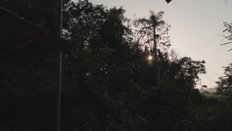 Slow-motion-handheld-shot-of-a-forest-piece-while-the-sun-is-setting-at-a-sunset-in-nature
