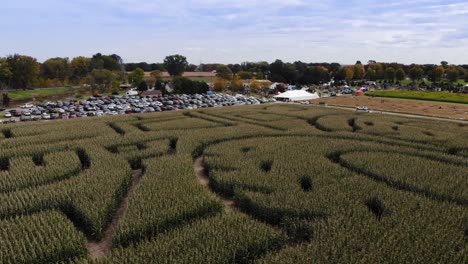 An-aerial-view-of-a-Michigan-farm-corn-maze-in-late-autumn