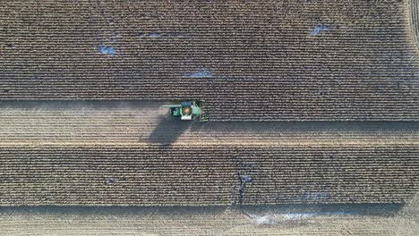 In-November,-a-farming-operation-in-NE-Wisconsin-chops-and-collects-corn-for-silage
