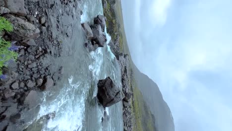 A-vertical-video-revealing-a-beautiful-glacier-stream-and-rushing-waterfall-from-behind-some-gorgeous-purple-Alaskan-lupin-flowers-in-the-dramatic-landscape-of-Iceland