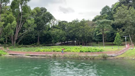 Mann-Aus-Der-Ferne-Geht-Mit-Einem-Regenschirm-Auf-Dem-Holzsteg-An-Einem-Nieseligen-Tag-Im-Macritchie-Reservoir,-Singapur