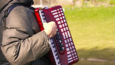 Accordion-street-player-at-outdoor-park-plays-music-with-keyboard,-profile-view