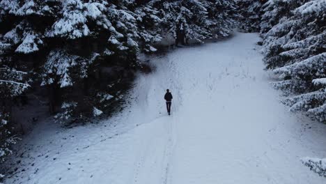 Following-a-man-walking-towards-a-snowy-forest