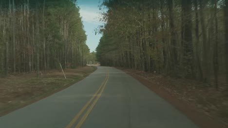 Eine-Einsame-Nebenstraße-Durch-Herbstliche-Bäume-Hinunterfahren,-Bis-Zu-Einem-Stoppschild
