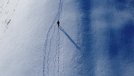 Vista-De-Pájaro-Sobre-Un-Hombre-Caminando-En-Un-Campo-De-Nieve